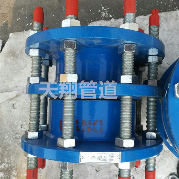 ���؂������^